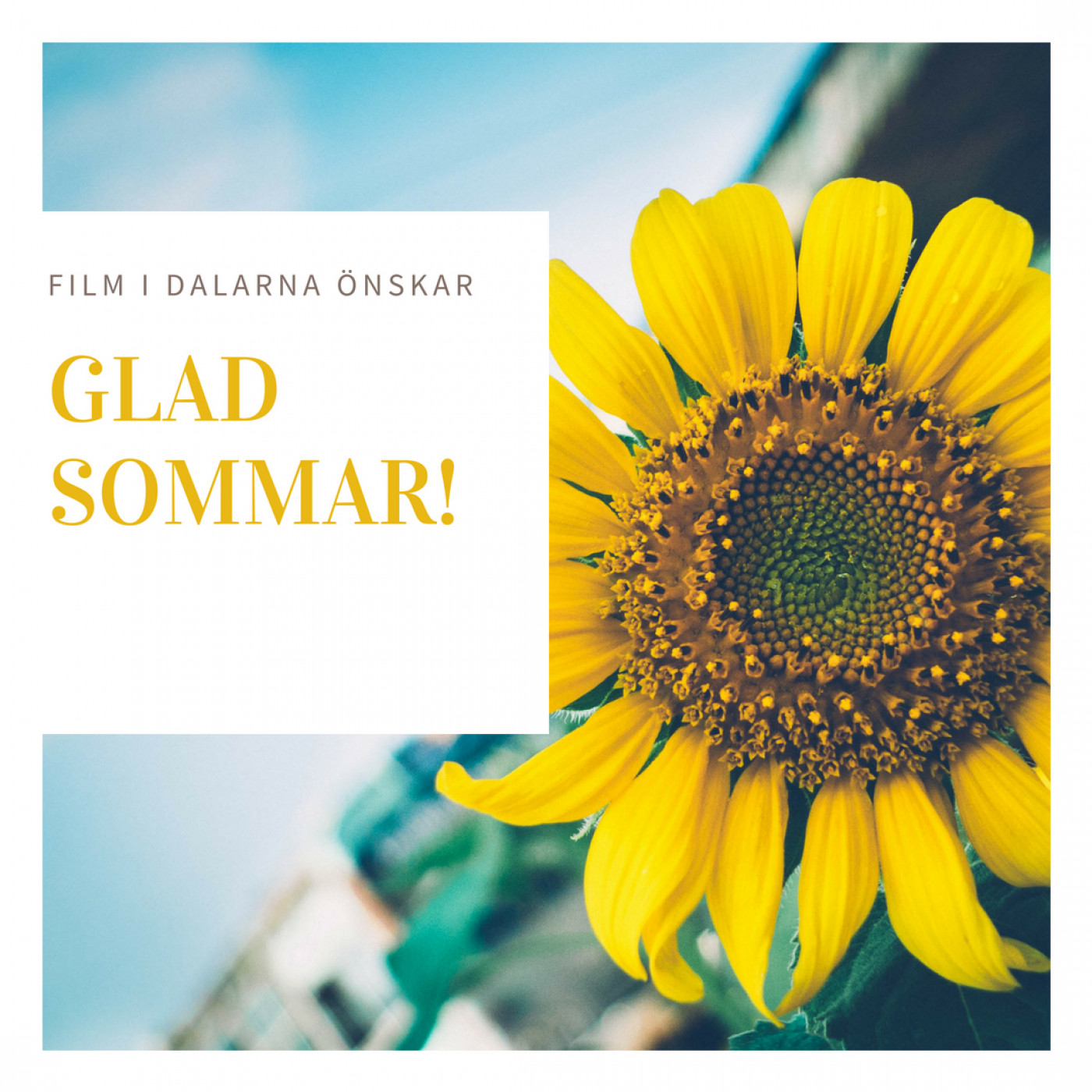 Vi önskar glad sommar till alla filmarbetare i Dalarna!