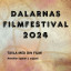 Dalarnas filmfestival 2024