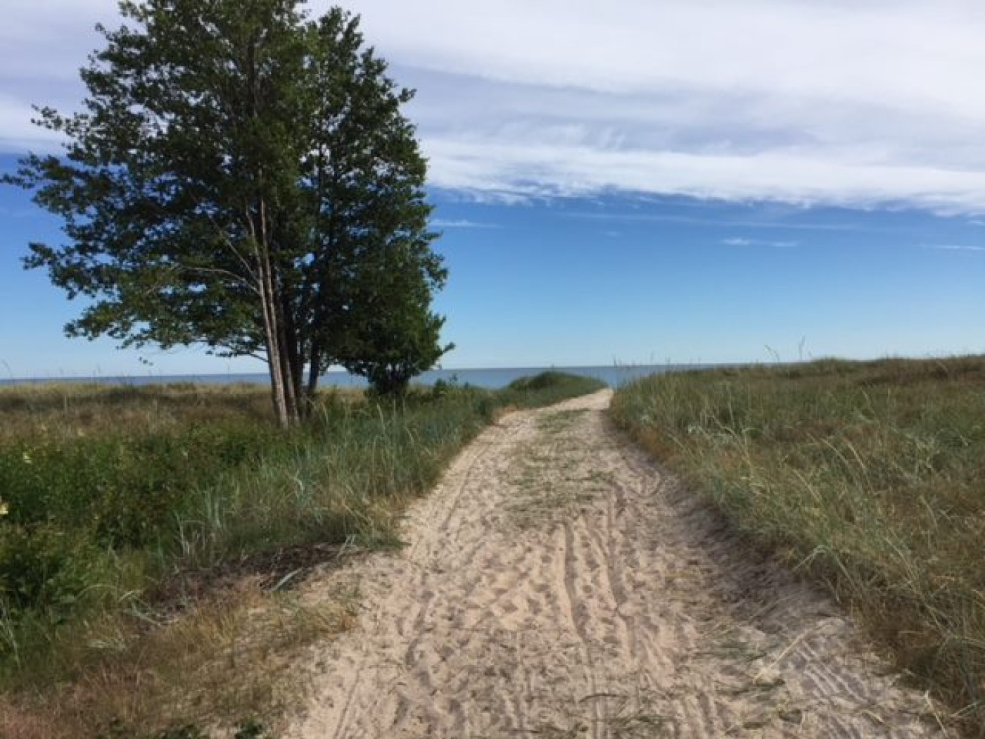 Utveckla ditt filmskapande på legendariska Fårö 