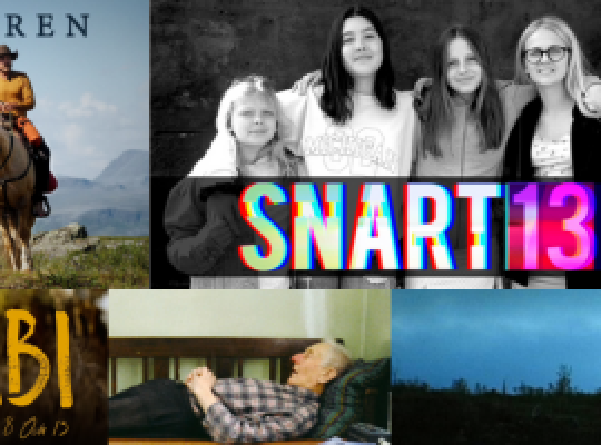 Sju somriga serie och dokumentärtips