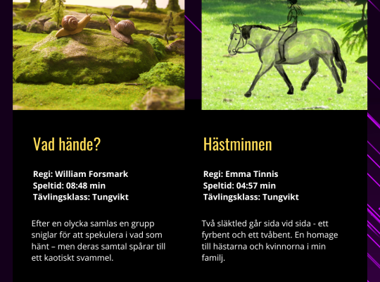Bläddra i årets program!