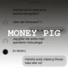 Money pig