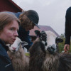 IT WOOL HAPPEN WT